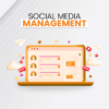 Social Media Management (Diamond)