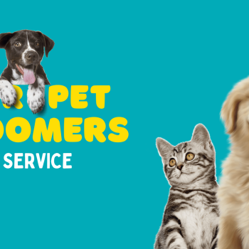 your pet groomers portfolio